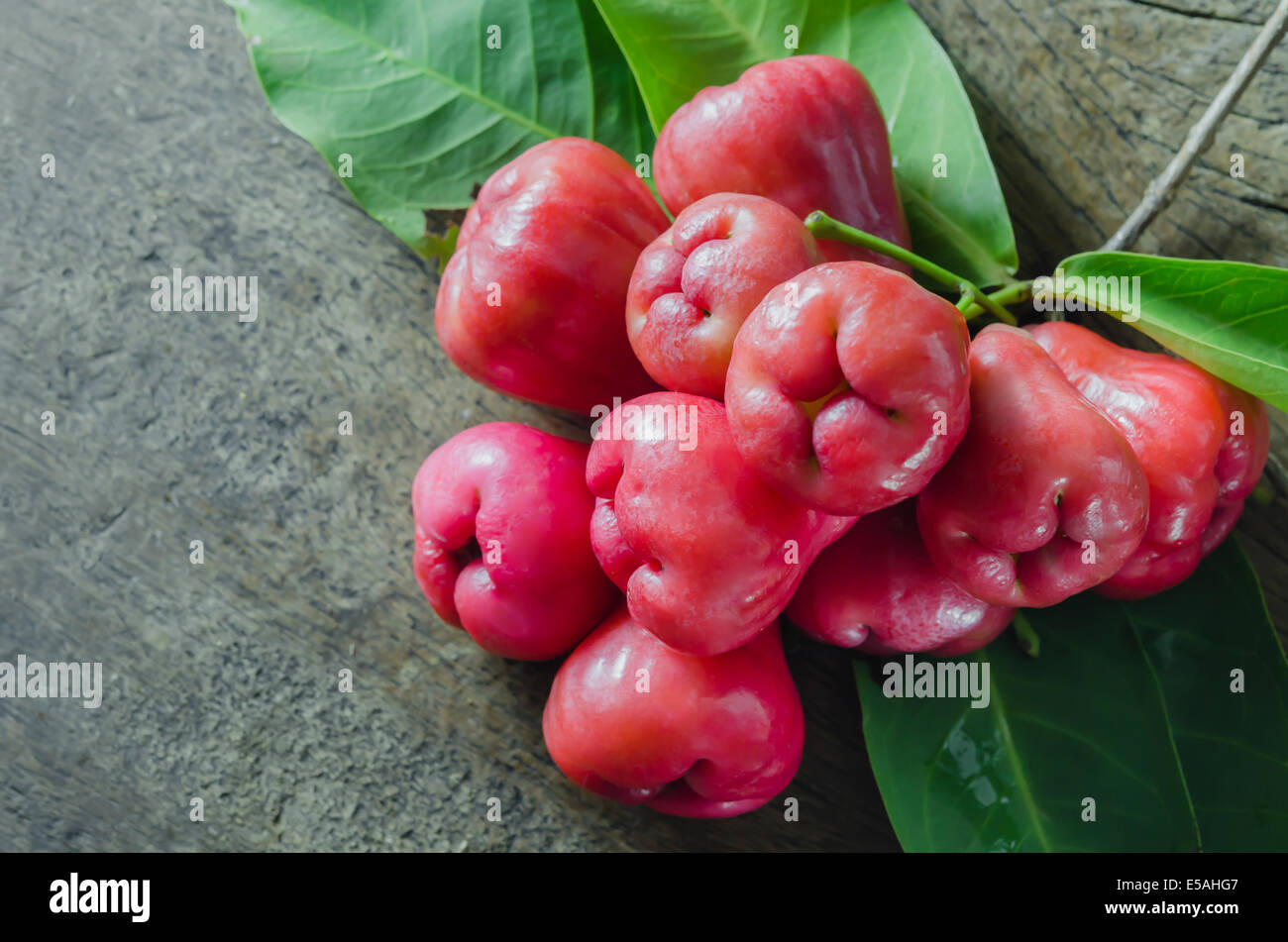 Ancora la vita di rosa di Apple o chompu su legno Foto Stock