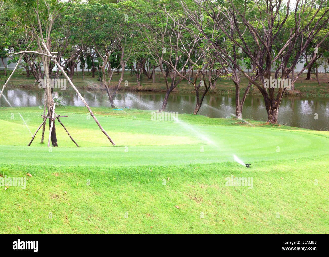 Sprinkler prati di irrigazione, parchi, campi da golf, la natura ha ribadito. Foto Stock