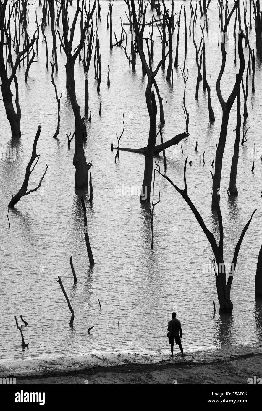 Uomo e natura Foto Stock