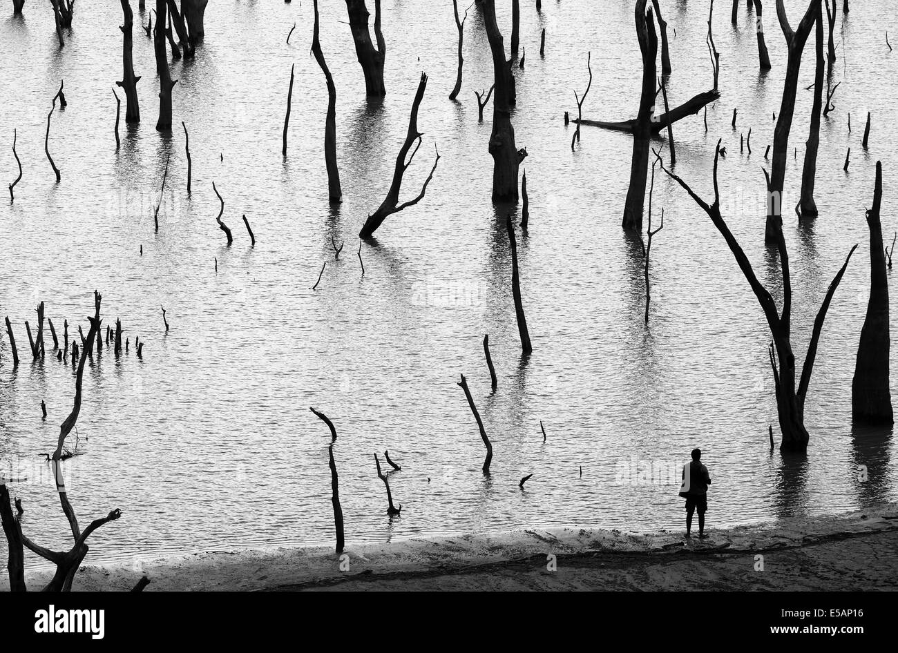 Uomo e natura Foto Stock