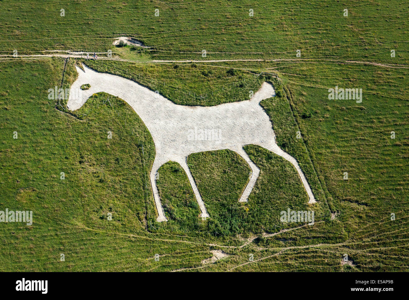 Vista aerea di Alton Barnes Cavallo Bianco, Latte Hill, vicino Pewsey, Wiltshire, Regno Unito. JMH6187 Foto Stock