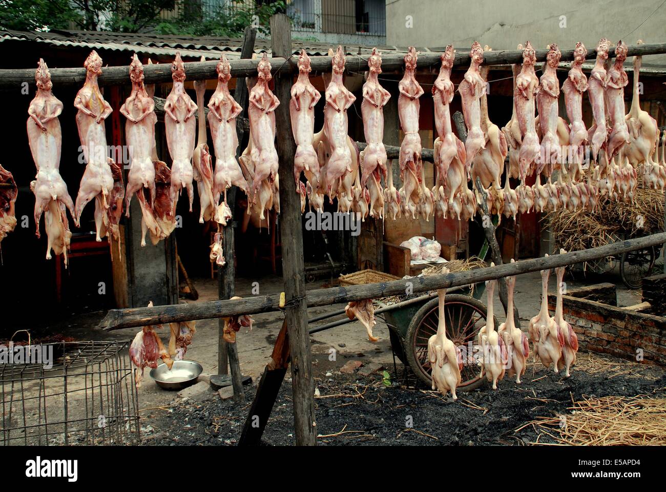 PENGZHOU, Cina : righe di coniglio affumicato e anatre che pendono dai pali di legno ad asciugare al sole Foto Stock