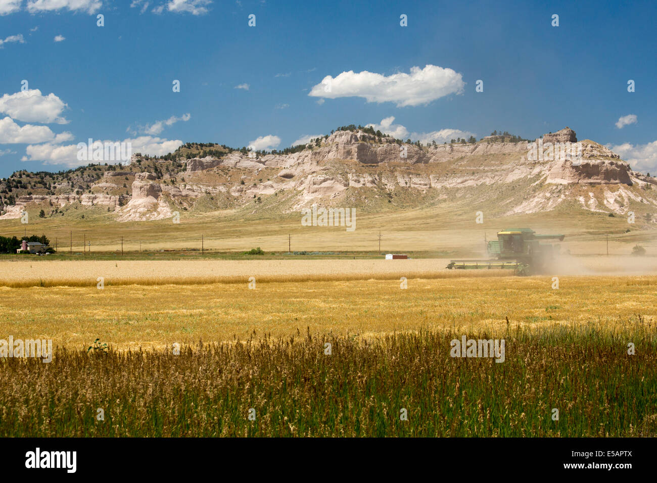 Harrisburg, Nebraska - una mietitrebbia di raccolti di frumento nel Nebraska panhandle. Foto Stock