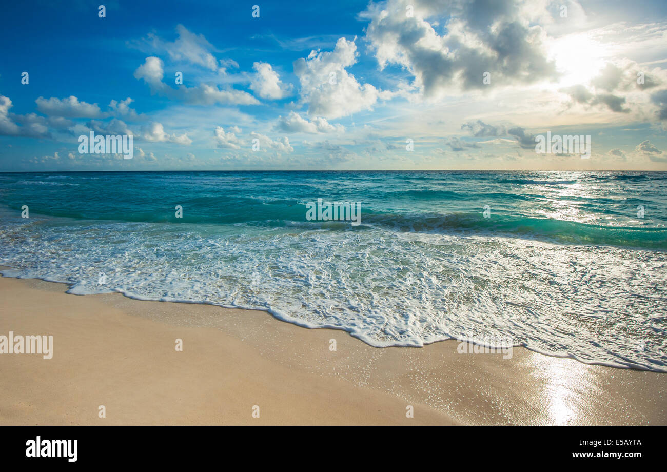 Spiaggia, mare e profondo cielo blu Foto Stock