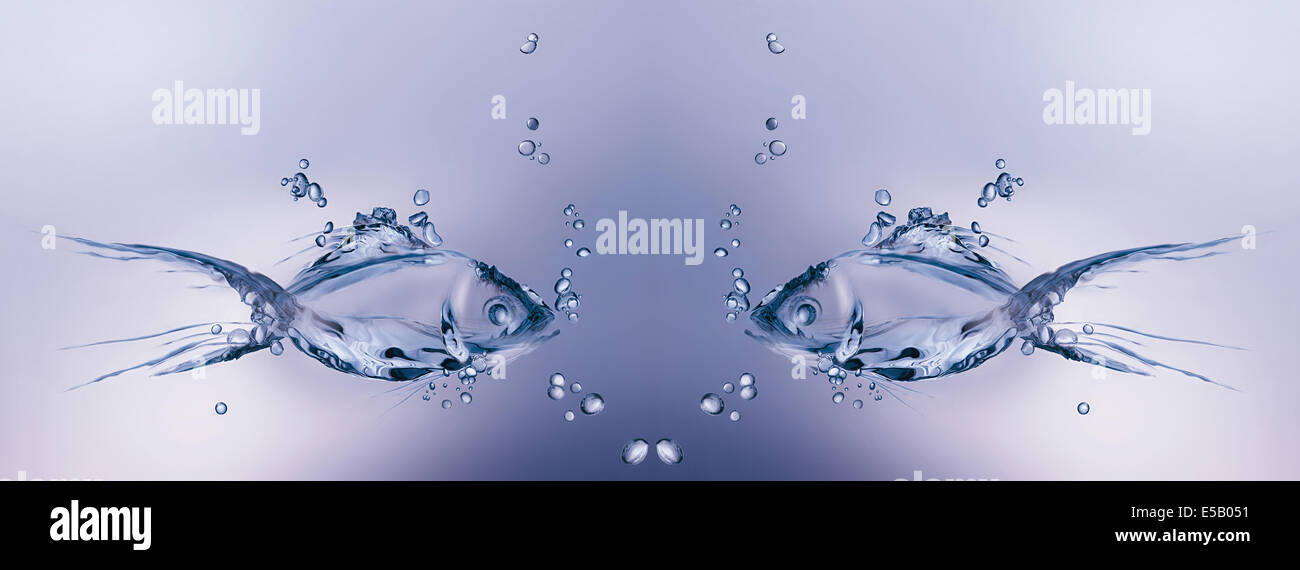 Due pesci di acqua nuoto gli uni verso gli altri in acqua. Foto Stock