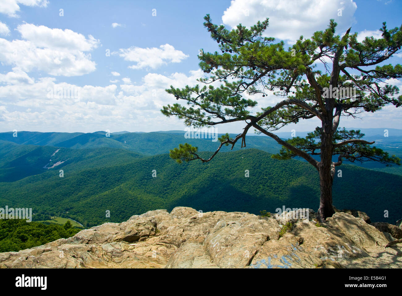 Corvi Roost si affacciano, Blue Ridge Parkway, Virginia, Stati Uniti d'America Foto Stock