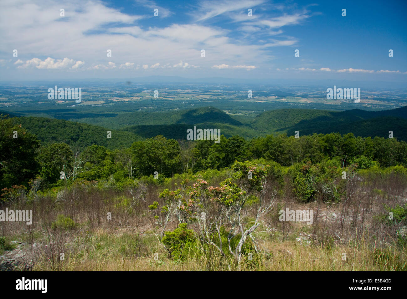 Shenandoah Valley dalla Skyline Drive, Virginia, Stati Uniti d'America Foto Stock