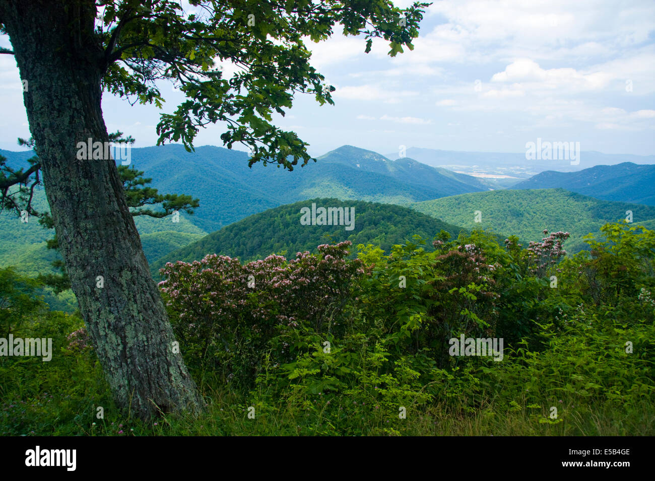 Vista dalla Skyline Drive, Virginia, Stati Uniti d'America Foto Stock