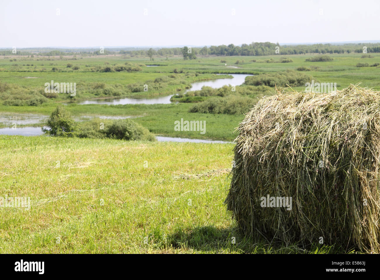 Agricola polacca scena hayfield a bordo delle paludi Foto Stock