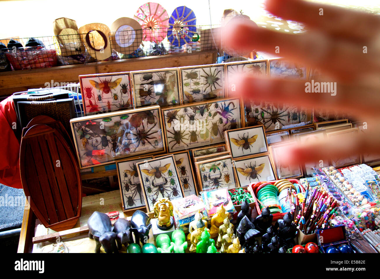 Thailandia, Sud-est asiatico, Mercato Galleggiante di Damnoen Saduak vicino a Bangkok. Negozio di vendita di fauna protetta, animali, insetti Foto Stock