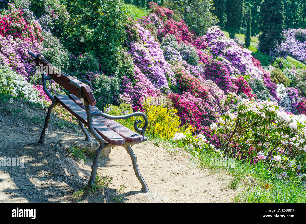 Sedia in giardino azalea in italia Foto Stock