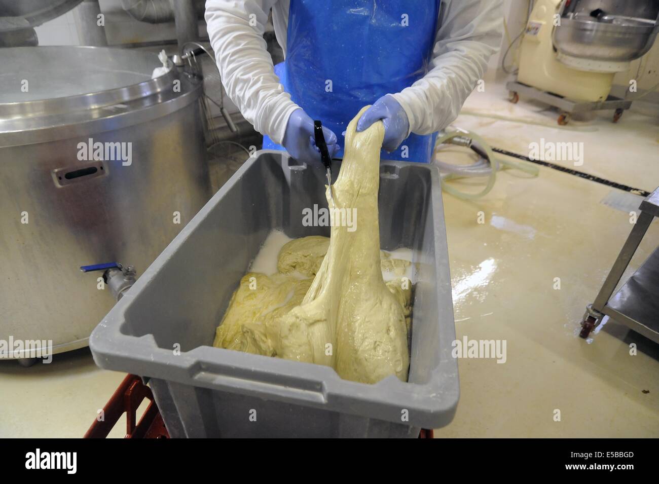 Con.Bio. a Santarcangelo di Romagna, azienda leader in Italia per la produzione di vegetali e alimenti biologici Foto Stock