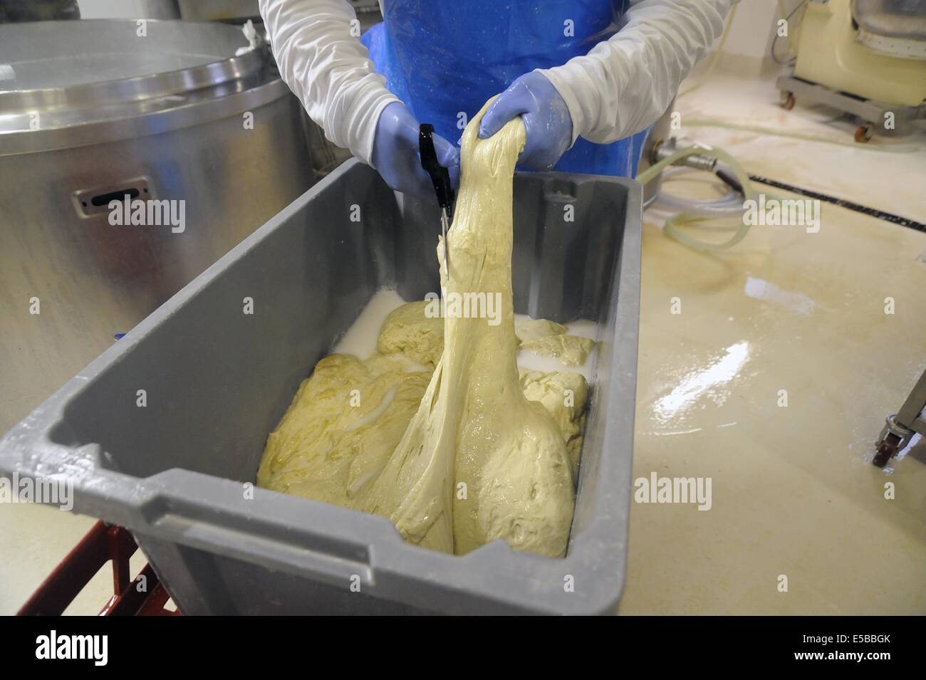 Con.Bio. a Santarcangelo di Romagna, azienda leader in Italia per la produzione di vegetali e alimenti biologici Foto Stock