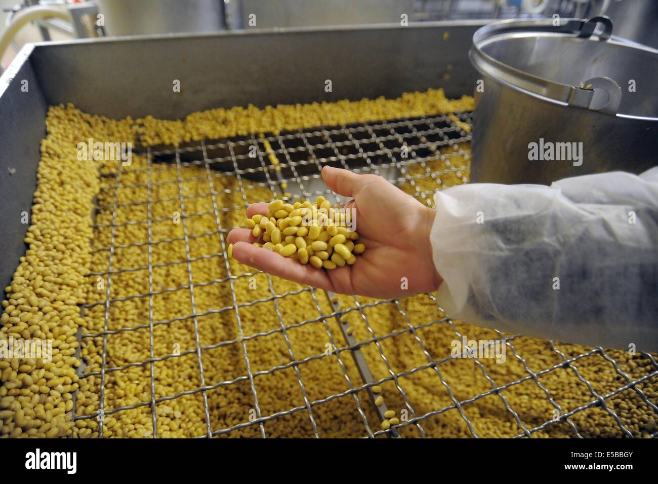 Con.Bio. a Santarcangelo di Romagna, azienda leader in Italia per la produzione di vegetali e alimenti biologici Foto Stock