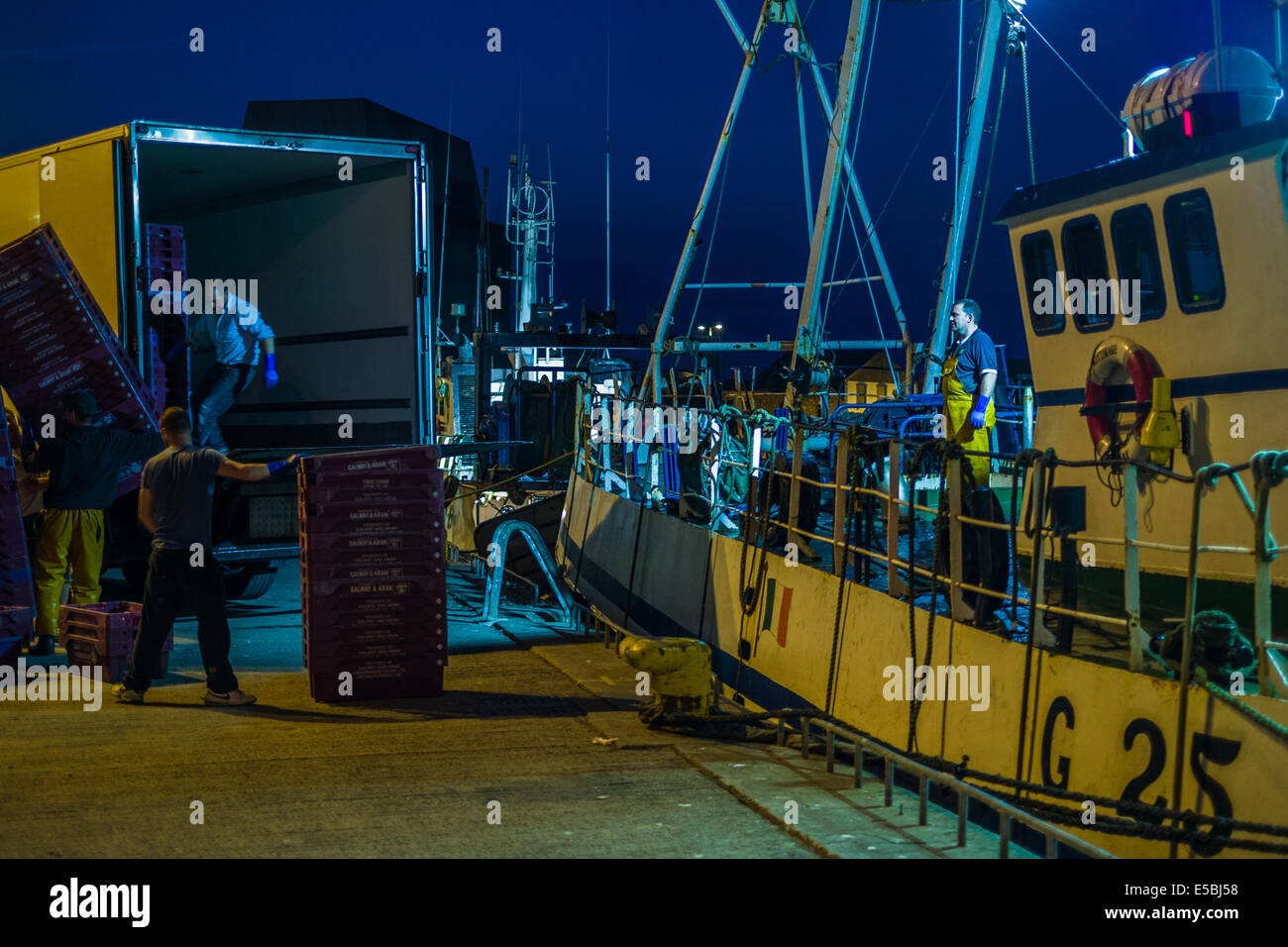 Peschereccio sbarcano le proprie catture a crepuscolo serale a Howth Pier, Dublin, Repubblica d'Irlanda. Foto Stock