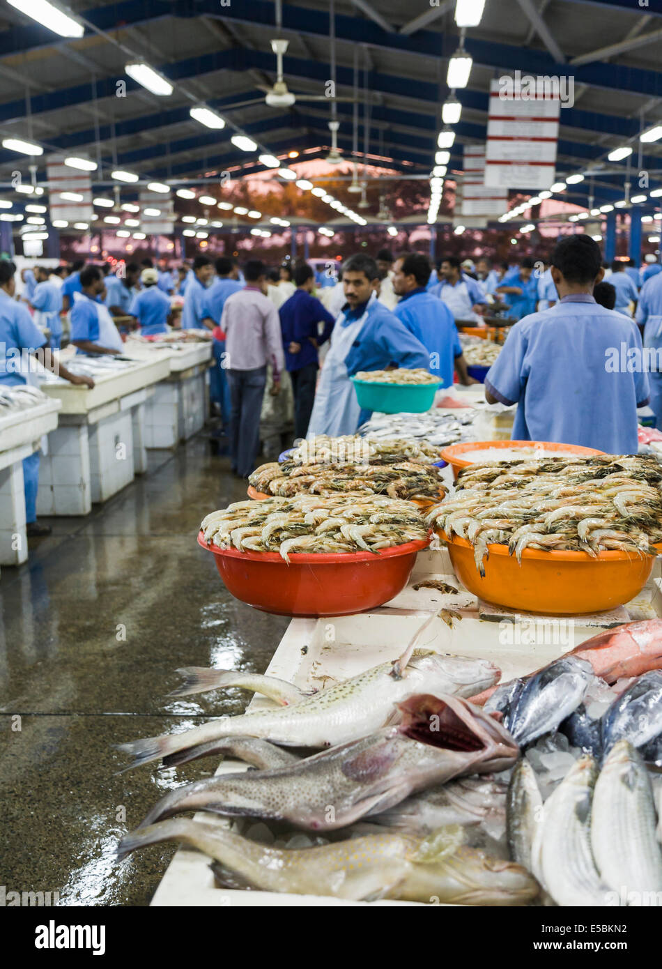 Bocce di gamberetti freschi e pesce visualizzati sulle bancarelle nel pesce souk, Deira, Dubai, UAE con molti stallholders Foto Stock