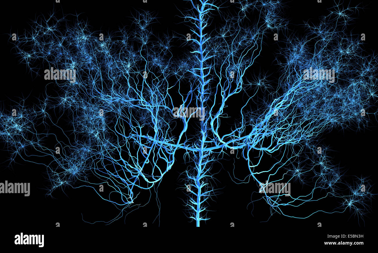 Abstract il sistema nervoso. Illustrazione medica Foto Stock