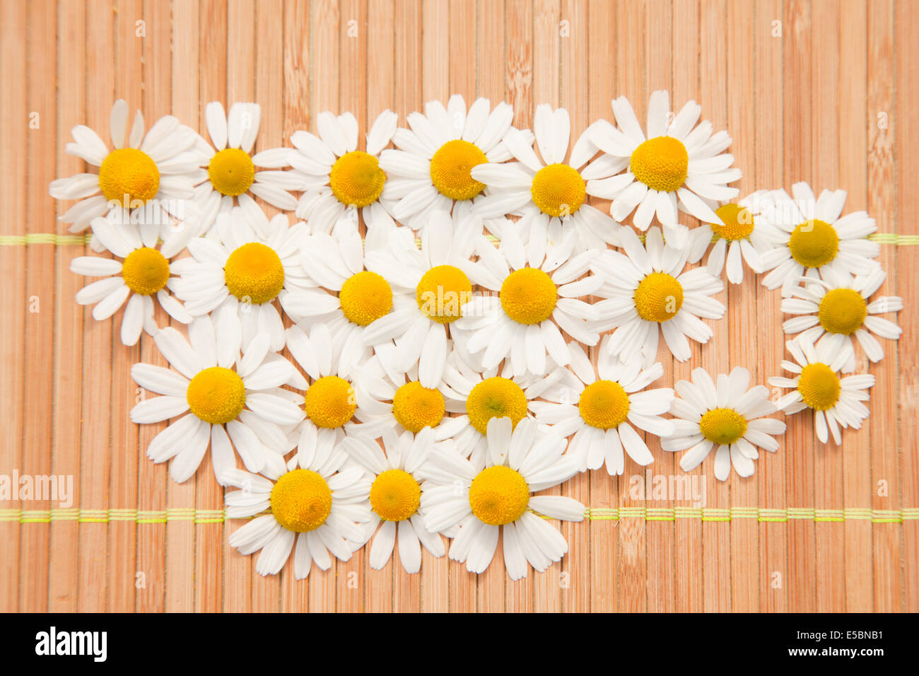 Tazza da tè di camomilla fiori su sfondo marrone Foto Stock