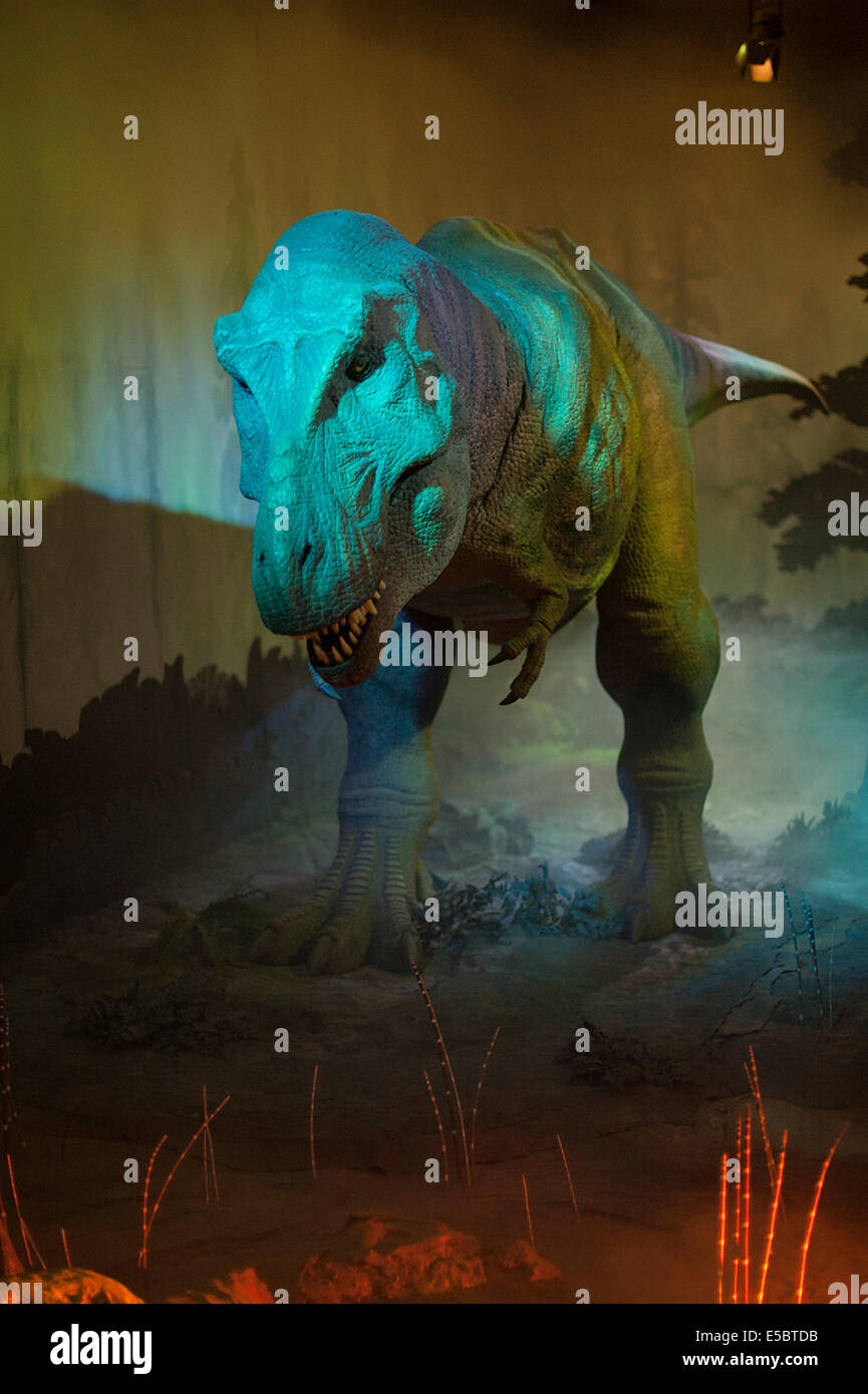 Recostruction del Tyrannosaurus rex, Cretacic superiore, Usa, London Natural History Museum Foto Stock