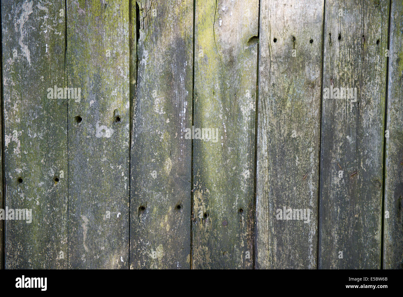 Sfondo di legno, posizionato verticalmente boards Foto Stock Sfondo di legno, posizionato verticalmente boards Foto Stock