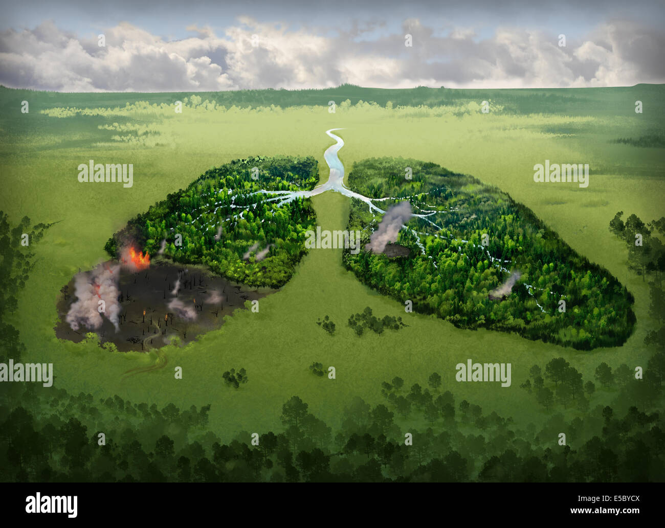 Immagine illustrativa di bruciare i polmoni sul campo che rappresentano problemi di fumo Foto Stock