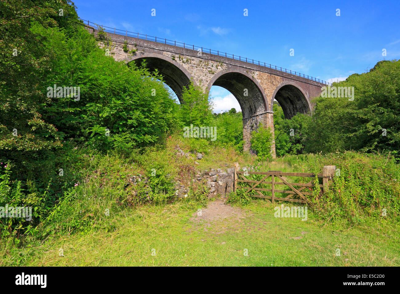 Sentiero in Monsal Dale lapide sotto il viadotto e Monsal Trail, Derbyshire, Parco Nazionale di Peak District, Inghilterra, Regno Unito. Foto Stock