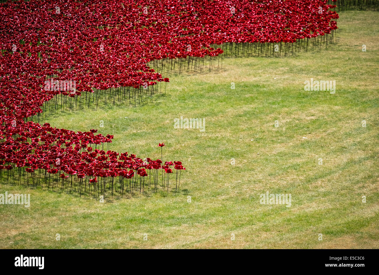 26 Luglio 2014: Ceramica papaveri piantato nel fossato asciutto presso la Torre di Londra come parte di un sorprendente grande installazione artistica dal titolo "Sangue spazzata di terre e mari di rosso." fotografo: Gordon Scammell/Alamy Live News Foto Stock