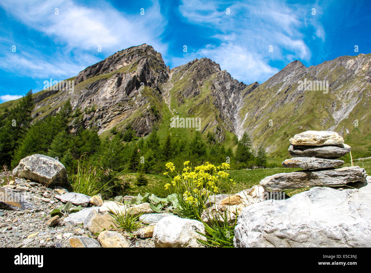 Stone figura nelle Alpi Foto Stock