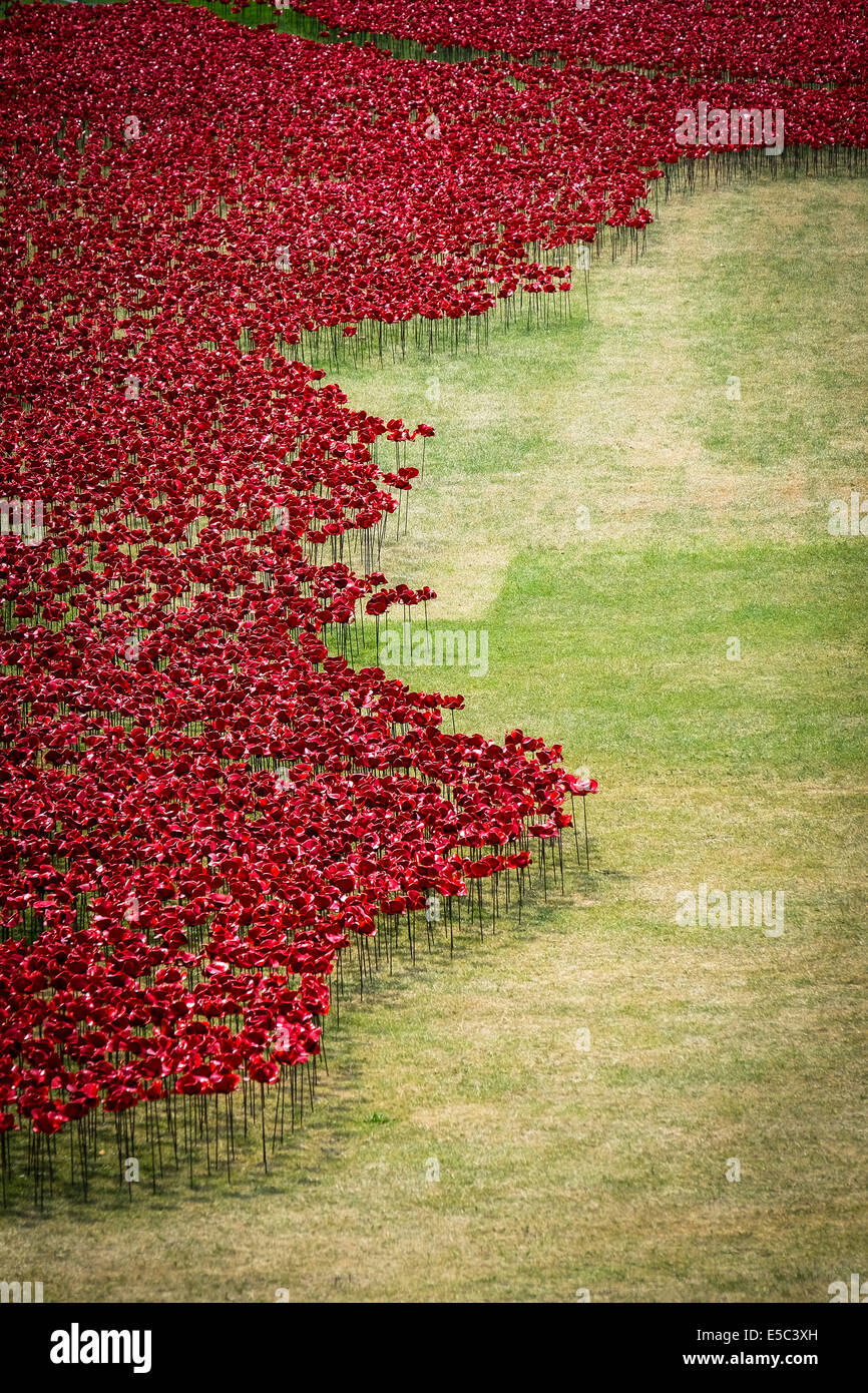 26 Luglio 2014: Ceramica papaveri piantato nel fossato asciutto presso la Torre di Londra come parte di un sorprendente grande installazione artistica dal titolo "Sangue spazzata di terre e mari di rosso." fotografo: Gordon Scammell/Alamy Live News Foto Stock