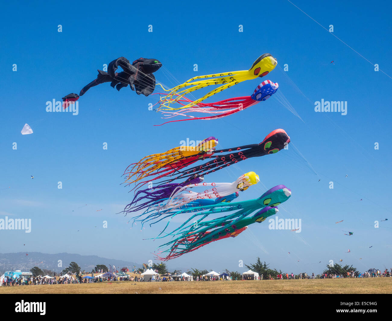 BERKELEY, CA/STATI UNITI D'America - 26 Luglio 2014: centinaia di aquiloni di tutte le dimensioni sono volato da dilettanti e professionisti di Cezar Chavez Park dur Foto Stock