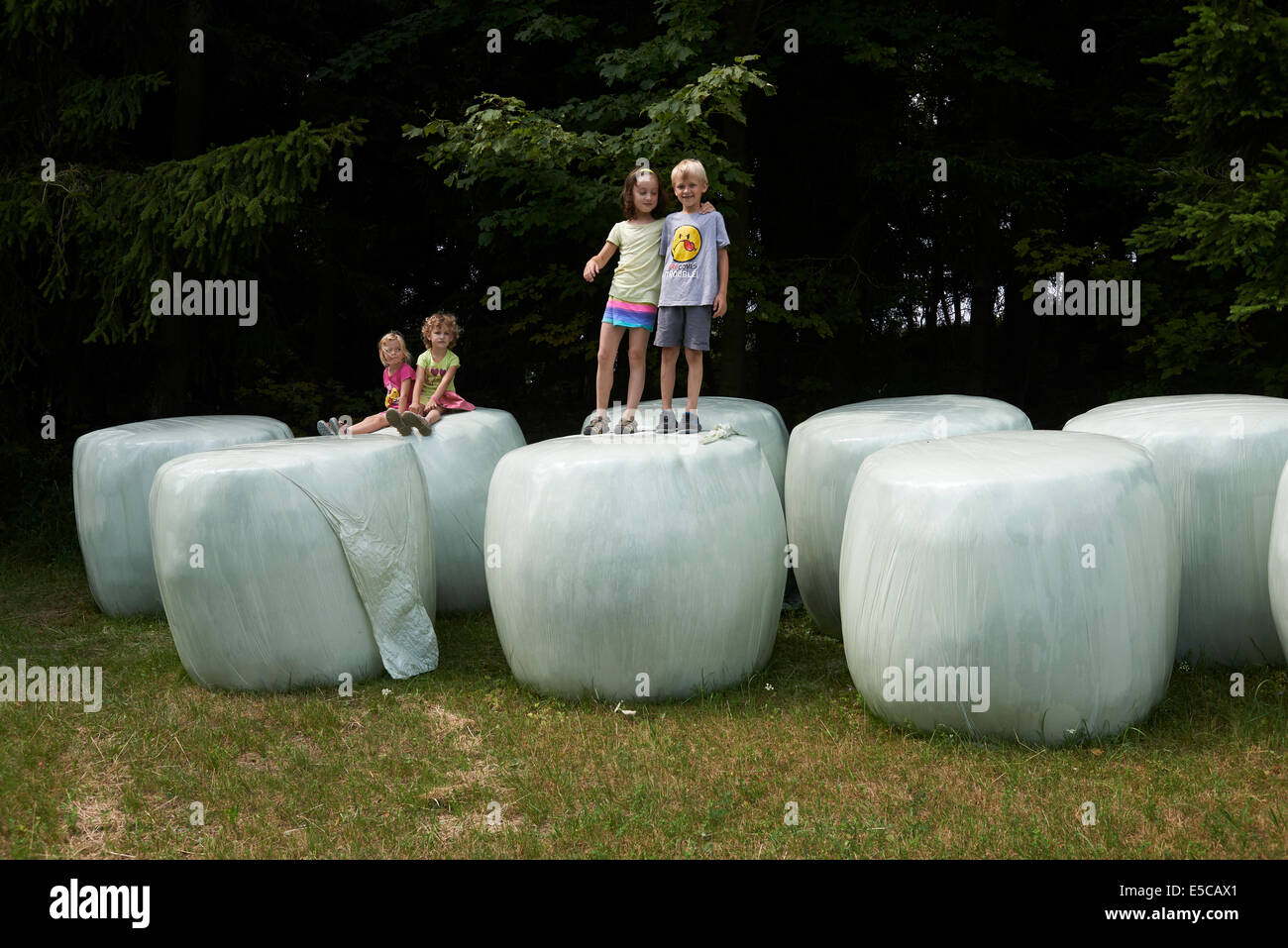 Un gruppo di bambini che giocano su balle di paglia simile a denti Gigante, ora legale Foto Stock