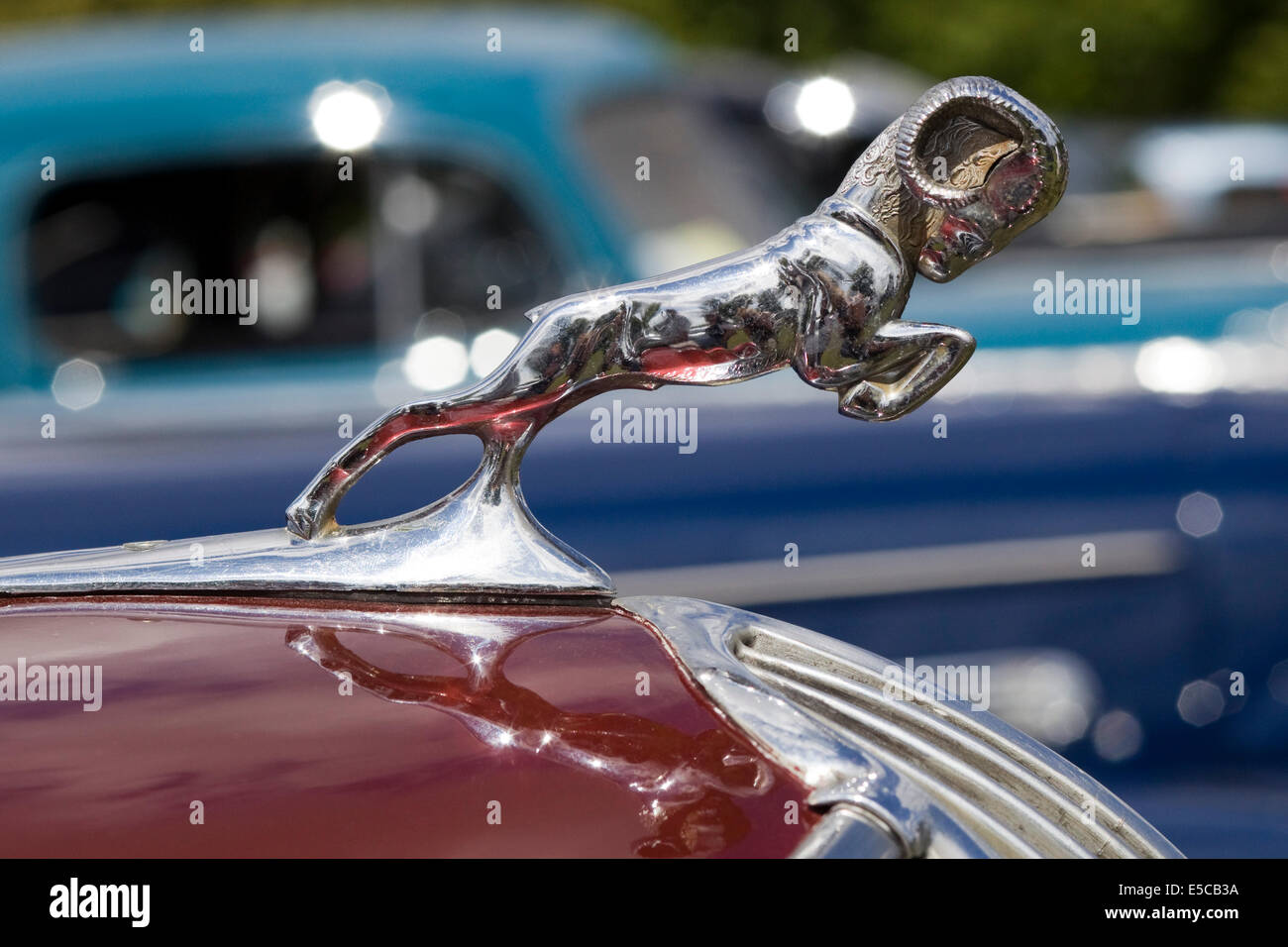 Ram argento vintage auto ornamento del cofano Foto Stock