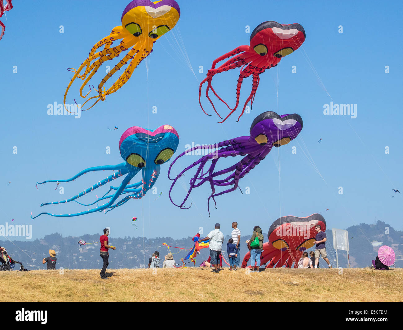 BERKELEY, CA/STATI UNITI D'America - 26 Luglio 2014: centinaia di aquiloni di tutte le dimensioni sono volato da dilettanti e professionisti di Cezar Chavez Park dur Foto Stock