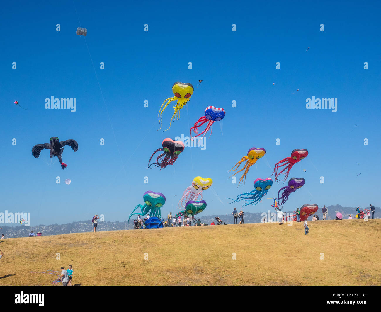 BERKELEY, CA/STATI UNITI D'America - 26 Luglio 2014: centinaia di aquiloni di tutte le dimensioni sono volato da dilettanti e professionisti di Cezar Chavez Park dur Foto Stock