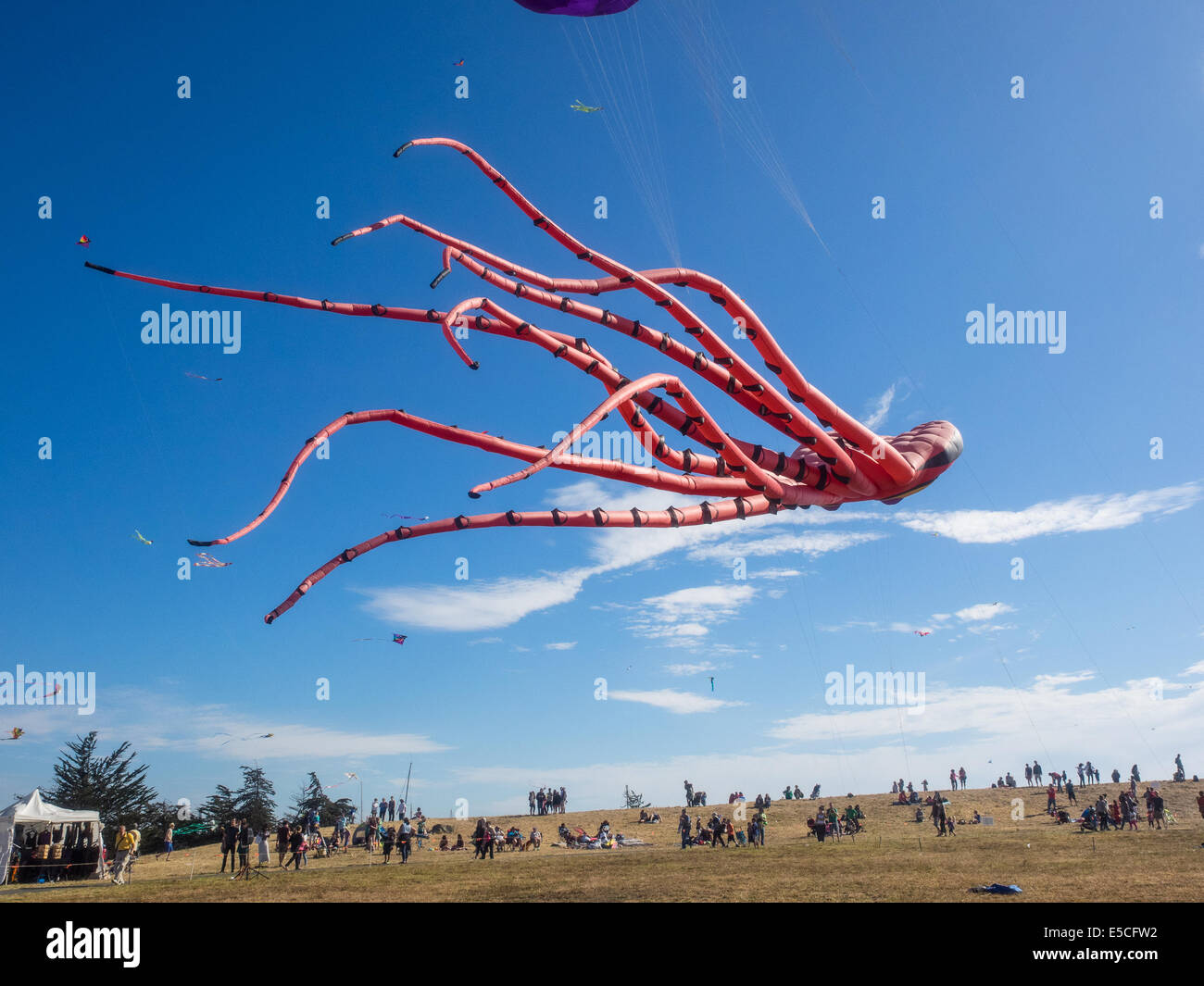 BERKELEY, CA/STATI UNITI D'America - 26 Luglio 2014: centinaia di aquiloni di tutte le dimensioni sono volato da dilettanti e professionisti di Cezar Chavez Park dur Foto Stock