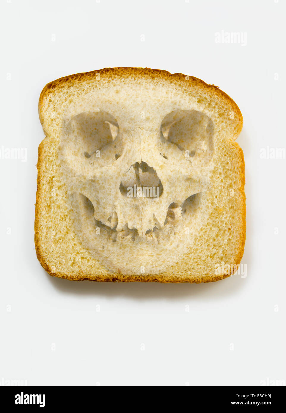 Cranio umano imposti su una fetta di pane su sfondo bianco Foto Stock