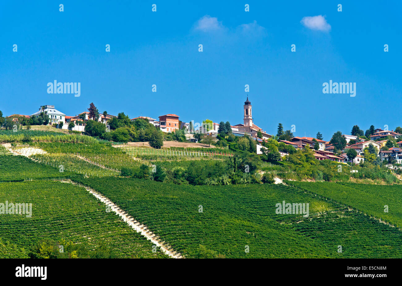 La campagna viticola village Treiso, Piemonte, Italia Foto Stock