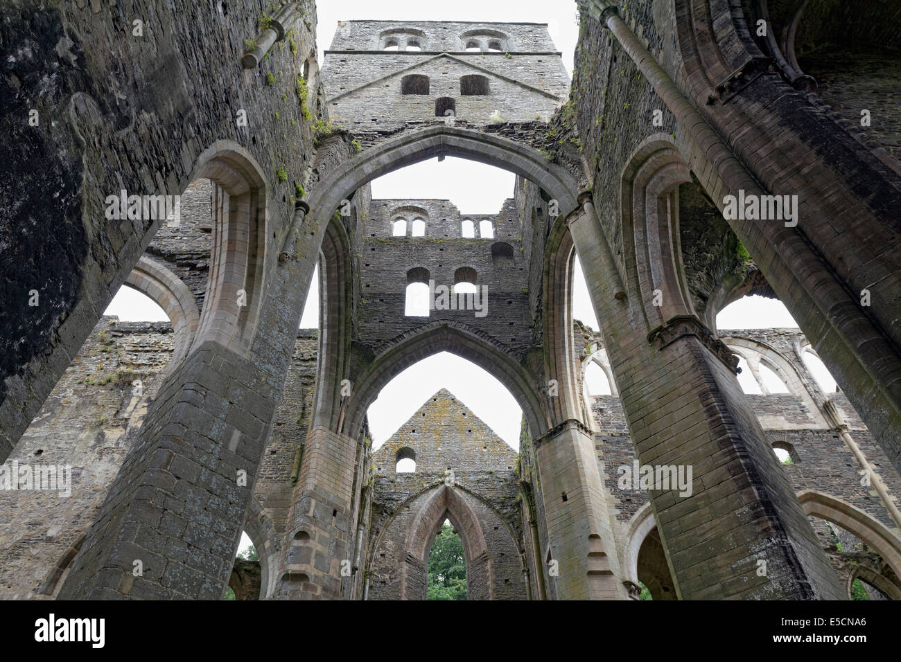 Rovine della chiesa abbaziale, Hambye Abbey, Cotentin Penisola, Département Manche, Bassa Normandia, Francia Foto Stock