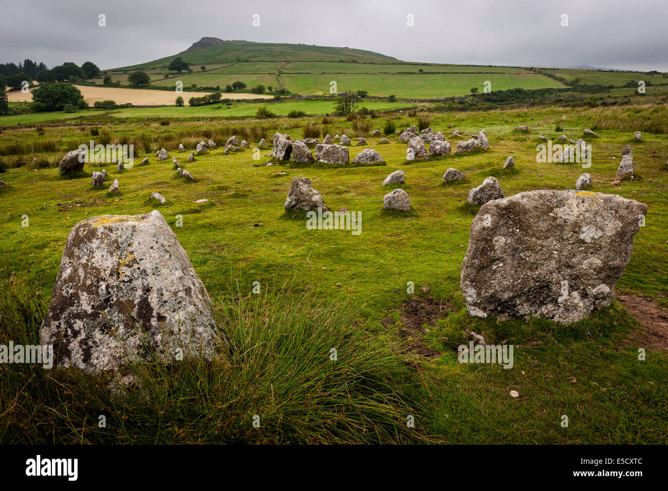 Yellowmead Età del Bronzo concentrici cerchi di pietra sul Dartmoor Devon, Regno Unito Foto Stock