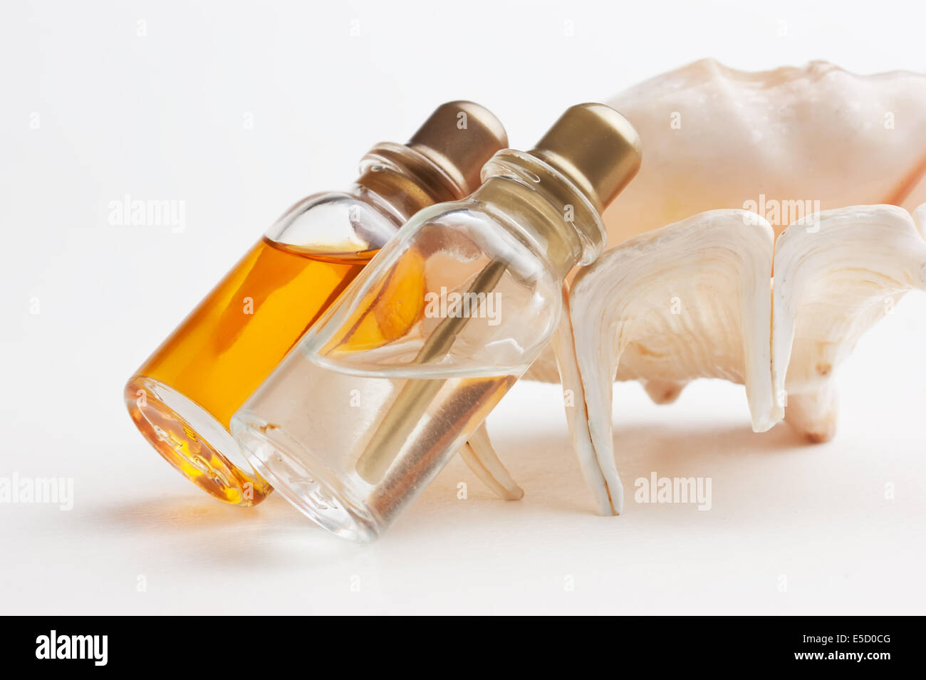 Due bottiglie di medicina e conchiglie di mare Foto Stock
