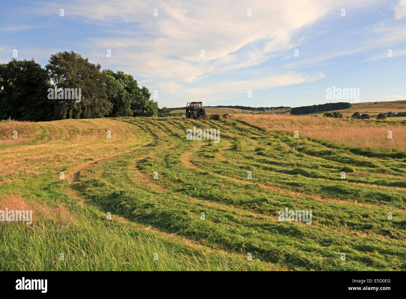 Agricoltore in un trattore il taglio di un campo di erba in Eyam luogo village, Derbyshire, Parco Nazionale di Peak District, Inghilterra, Regno Unito. Foto Stock