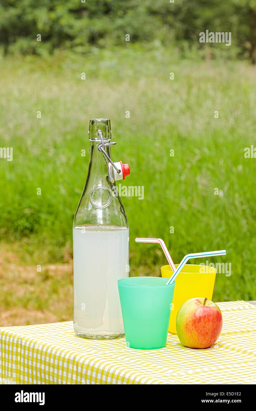 Una bottiglia di fresca limonata fatta in casa all'aperto su un tavolo da picnic Foto Stock