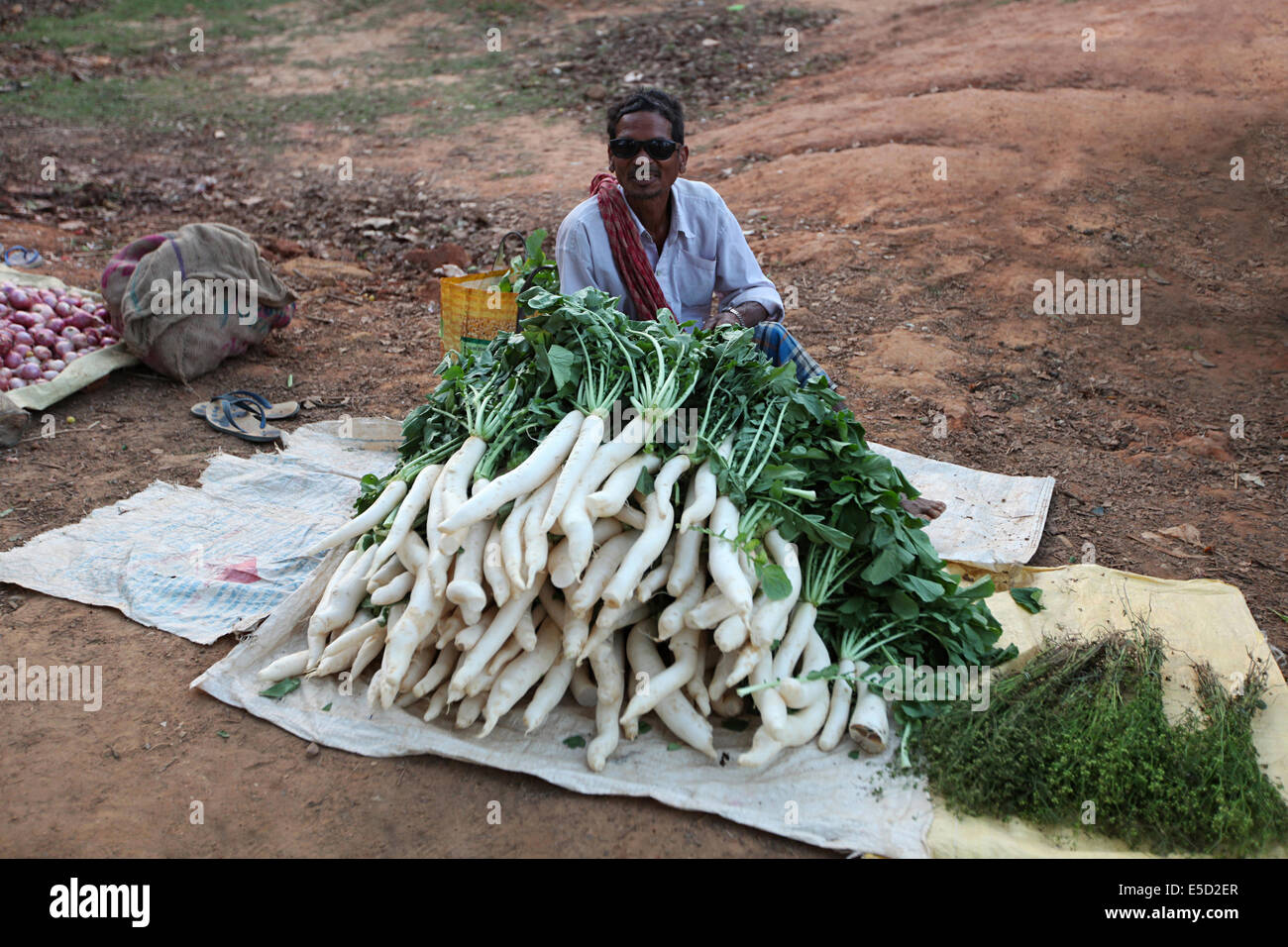 Mercato ortofrutticolo nel villaggio tribale, Gadhuproda Village, Chattisgadh, India Foto Stock