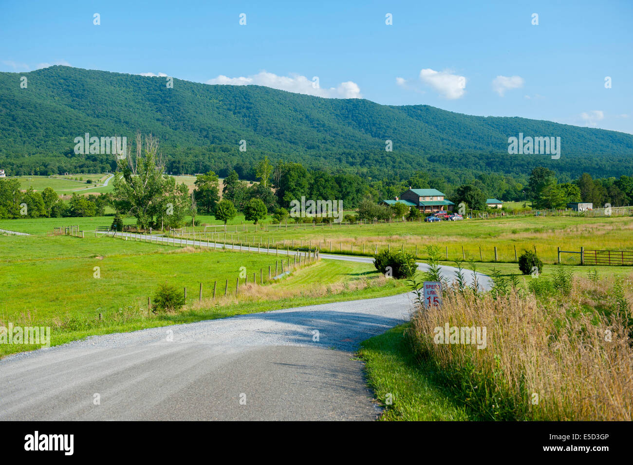 Stati Uniti Virginia VA Shenandoah Valley - Fort Valley - una strada di ghiaia verso il basso in un agriturismo a valle Foto Stock