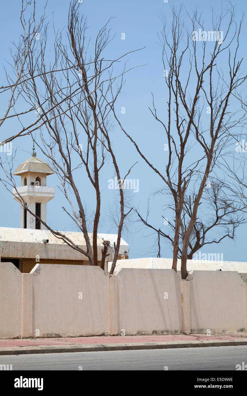 Vecchia Moschea e alberi a secco in Arabia Saudita Foto Stock
