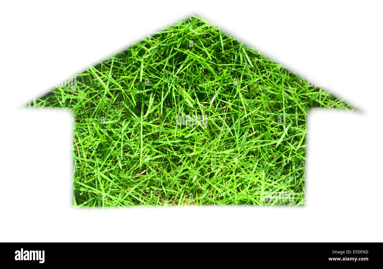 Eco-friendly house - concetto Foto Stock