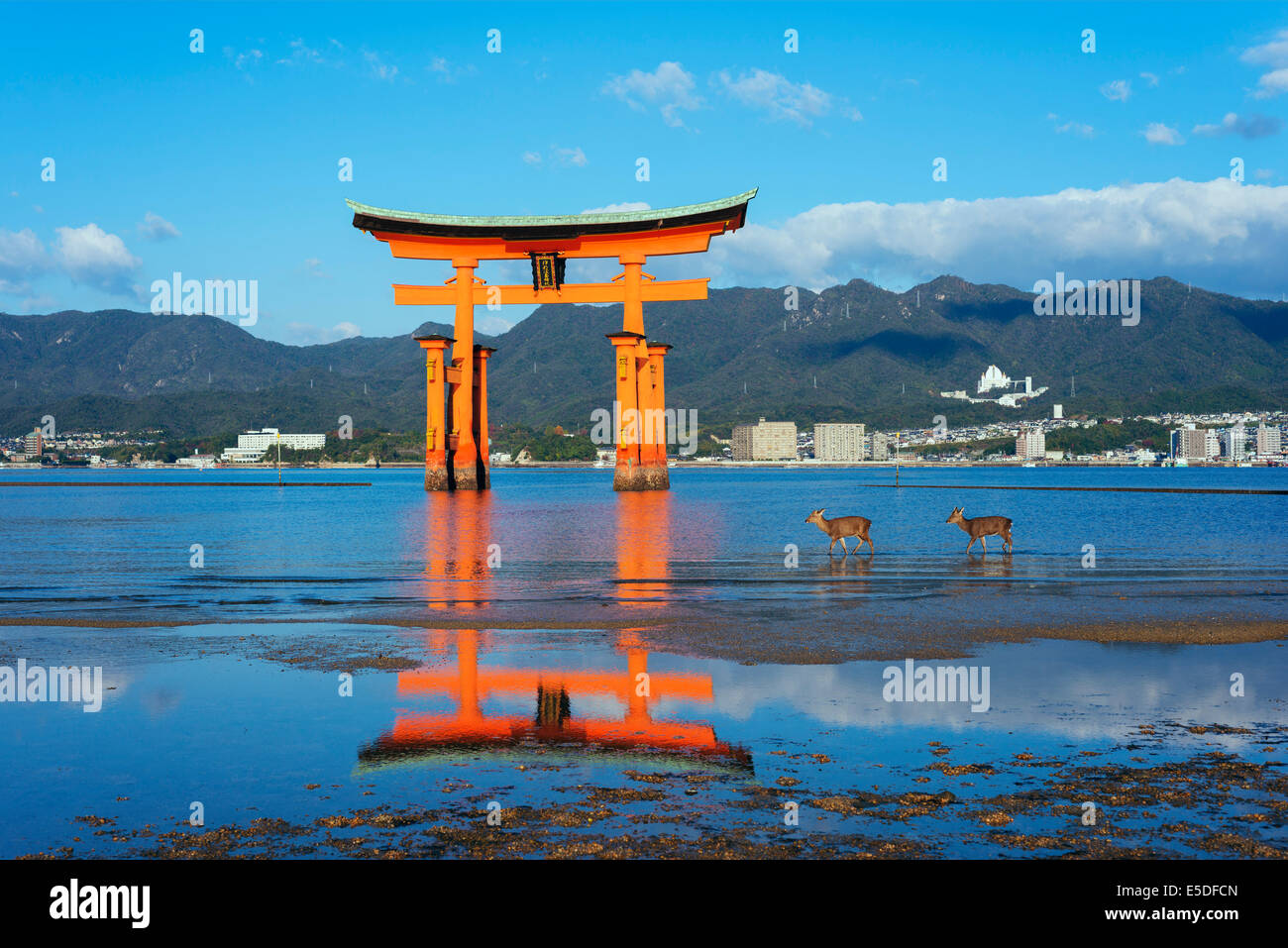 Asia, Giappone, Honshu, Prefettura di Hiroshima, l'isola di Miyajima, torii gate di Itsukushima jinja sacrario scintoista, Unesco Foto Stock