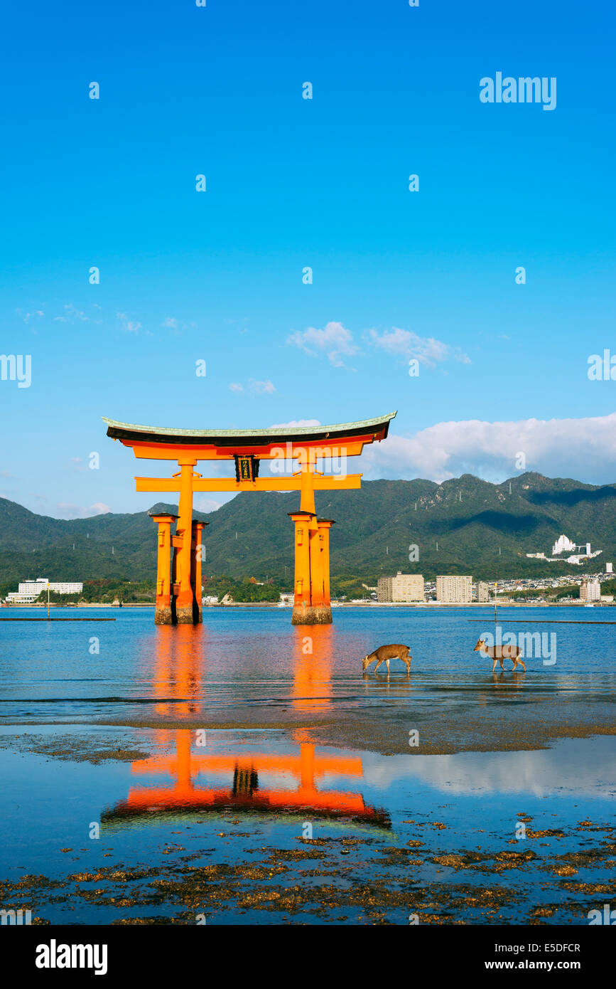 Asia, Giappone, Honshu, Prefettura di Hiroshima, l'isola di Miyajima, torii gate di Itsukushima jinja sacrario scintoista, Unesco Foto Stock