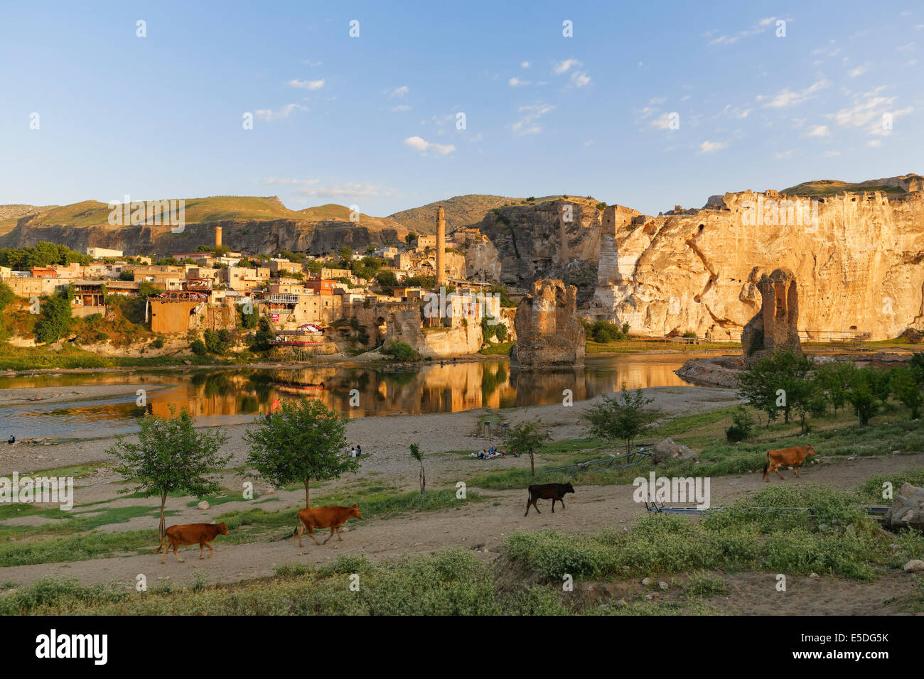 Townscape con il fiume Tigri, Hasankeyf, provincia di Batman, Anatolia sudorientale Regione, Anatolia, Turchia Foto Stock