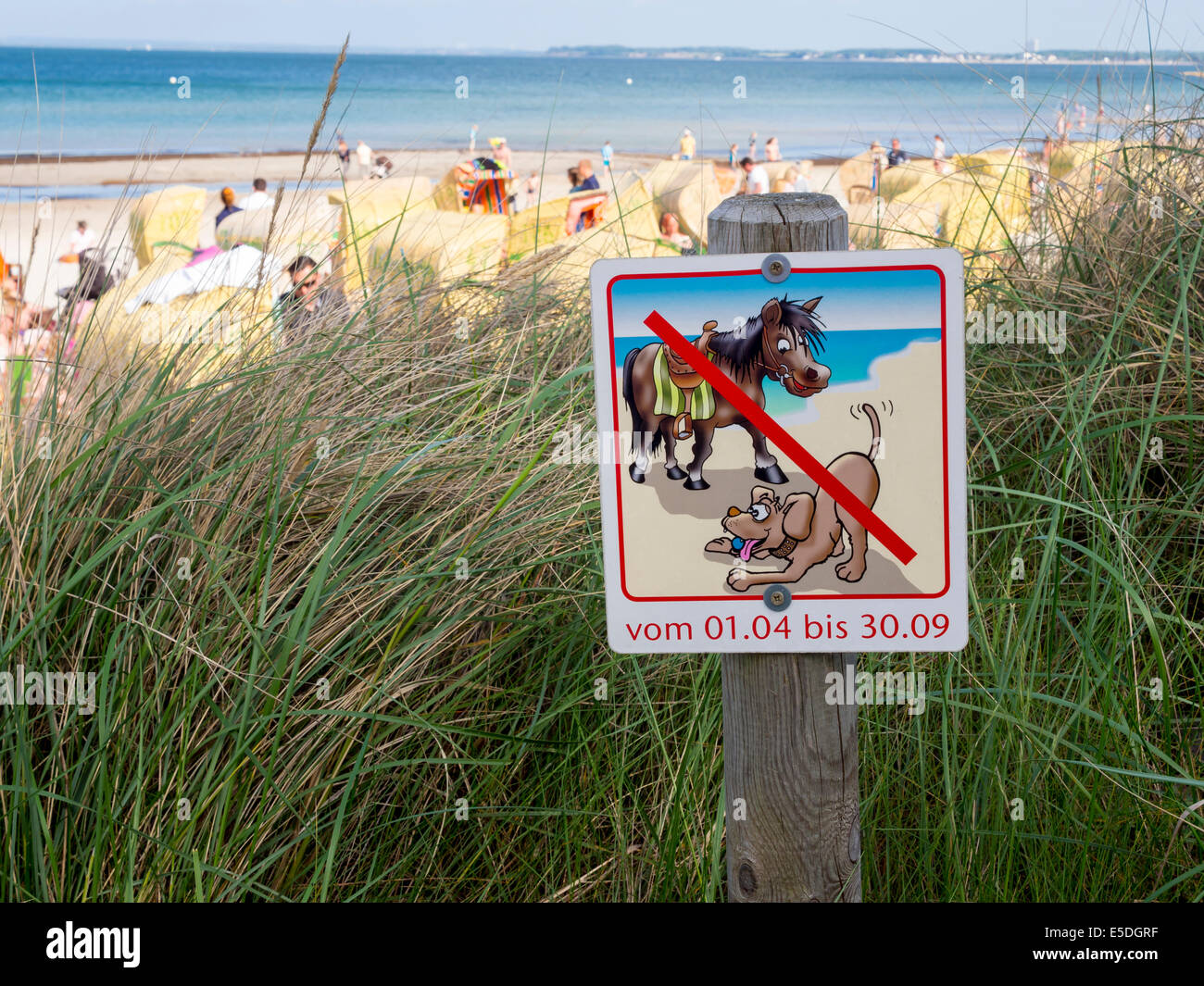 Germania, Schleswig-Holstein, Scharbeutz, no cani e cavalli segno in spiaggia Foto Stock